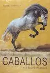 LOS CABALLOS MÁS BELLOS DEL MUNDO