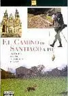 EL CAMINO DE SANTIAGO A PIE. MONUMENTOS, GASTRONOMIA, ALBERGUES, ETAPA