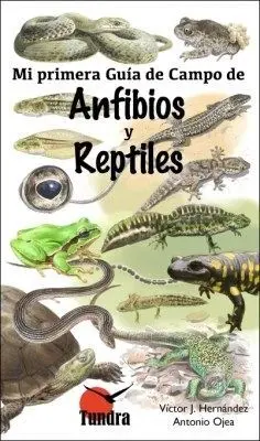 ANFIBIOS Y REPTILES. MI PRIMERA GUIA DE CAMPO ANFIBIOS Y REPTILES. MI PRIMERA GUIA DE CAMPO