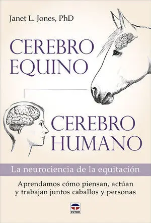 CEREBRO EQUINO, CEREBRO HUMANO