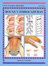 BOCAS Y EMBOCADURAS GUIAS ECUESTRES ILUSTRADAS