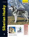SIBERIAN HUSKY. SERIE EXCELLENCE, RAZAS DE HOY