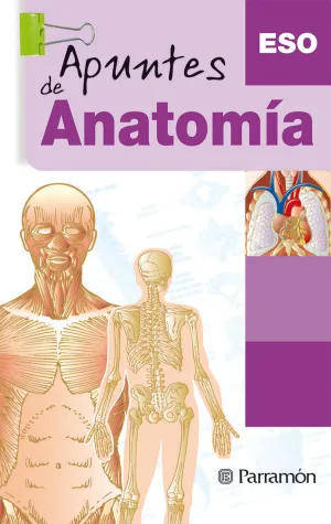 APUNTES DE ANATOMIA ESO