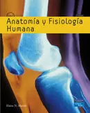 ANATOMÍA Y FISIOLOGÍA HUMANA