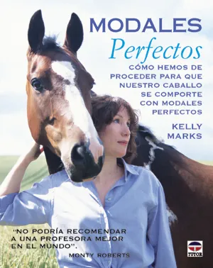 MODALES PERFECTOS. CÓMO HEMOS DE PROCEDER PARA QUE NUESTRO CABALLO SE C