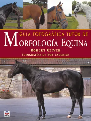 GUÍA FOTOGRÁFICA TUTOR DE MORFOLOGÍA EQUINA