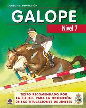 CURSO DE EQUITACIÓN GALOPE NIVEL 7
