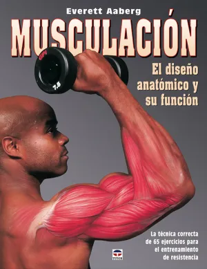 MUSCULACION EL DISEÑO ANATOMICO Y  SU FUNCIÓN