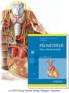 PROMETHEUS TOMO 2 CUELLO Y ÓRGANOS INTERNOS