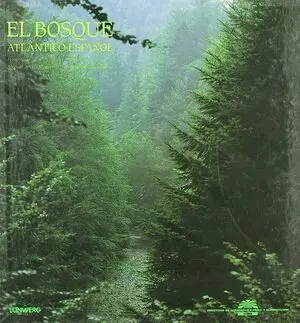 BOSQUE ATLANTICO ESPAÑOL