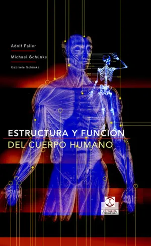 ESTRUCTURA Y FUNCIÓN DEL CUERPO HUMANO