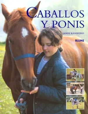 CABALLLOS Y PONIS