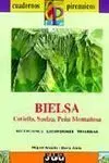 BIELSA. COTIELLA, SUELZA, PEÑA MONTAÑESA