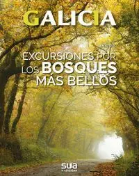 GALICIA - EXCURSIONES POR LOS BOSQUES MAS BELLOS
