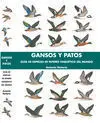 GANSOS Y PATOS : GUÍA DE ESPECIES DE INTERÉS CINEGÉTICO DEL MUNDO