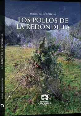 LOS POLLOS DE LA REDONDILLA