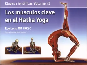 YOGA, LOS MÚSCULOS CLAVES EN EL HATHA YOGA