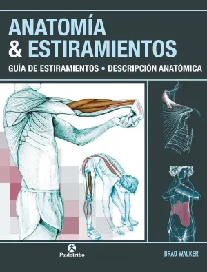 ANATOMIA & ESTIRAMIENTOS. GUÍA DE ESTIRAMIENTOS. DESCRIPCIÓN ANATÓMICA