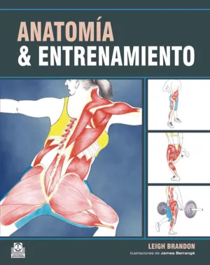 ANATOMÍA & ENTRENAMIENTO