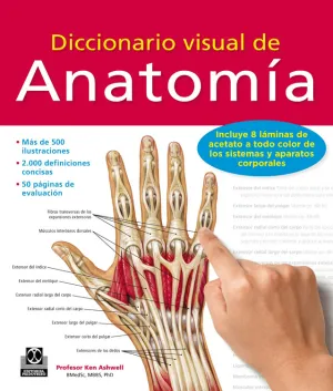 DICCIONARIO VISUAL DE ANATOMÍA