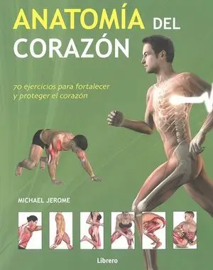 ANATOMIA DEL CORAZÓN