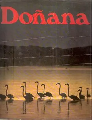 DOÑANA